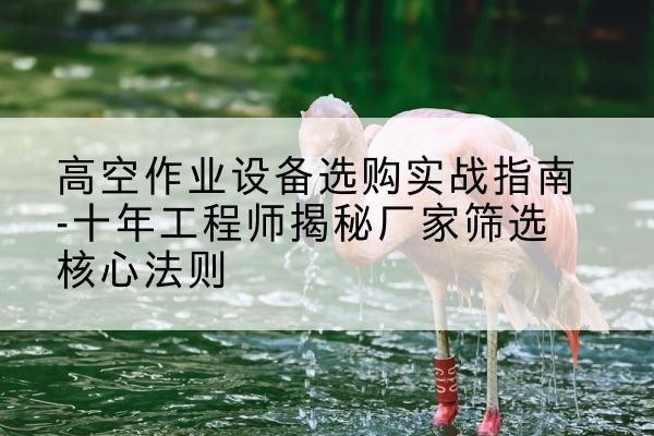 兴庆剪叉式升降机厂家-高空作业设备选购实战指南-十年工程师揭秘厂家筛选核心法则
