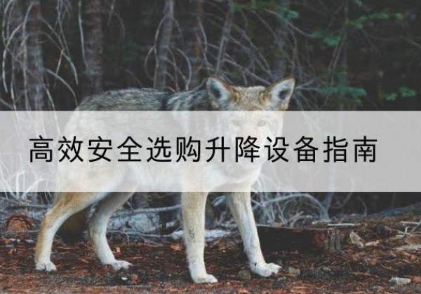 兴庆升降货梯厂家推荐-*安全选购升降设备指南