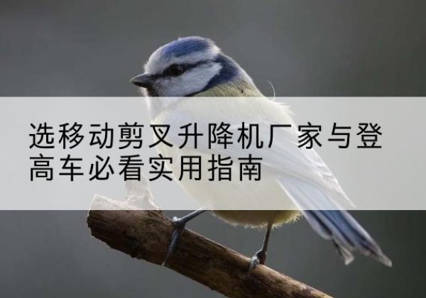兴庆电动升降机厂家-选移动剪叉升降机厂家与登高车必看实用指南