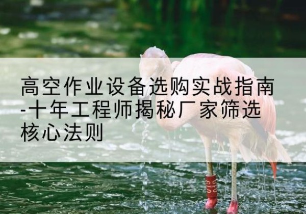 兴庆剪叉式升降机厂家-高空作业设备选购实战指南-十年工程师揭秘厂家筛选核心法则